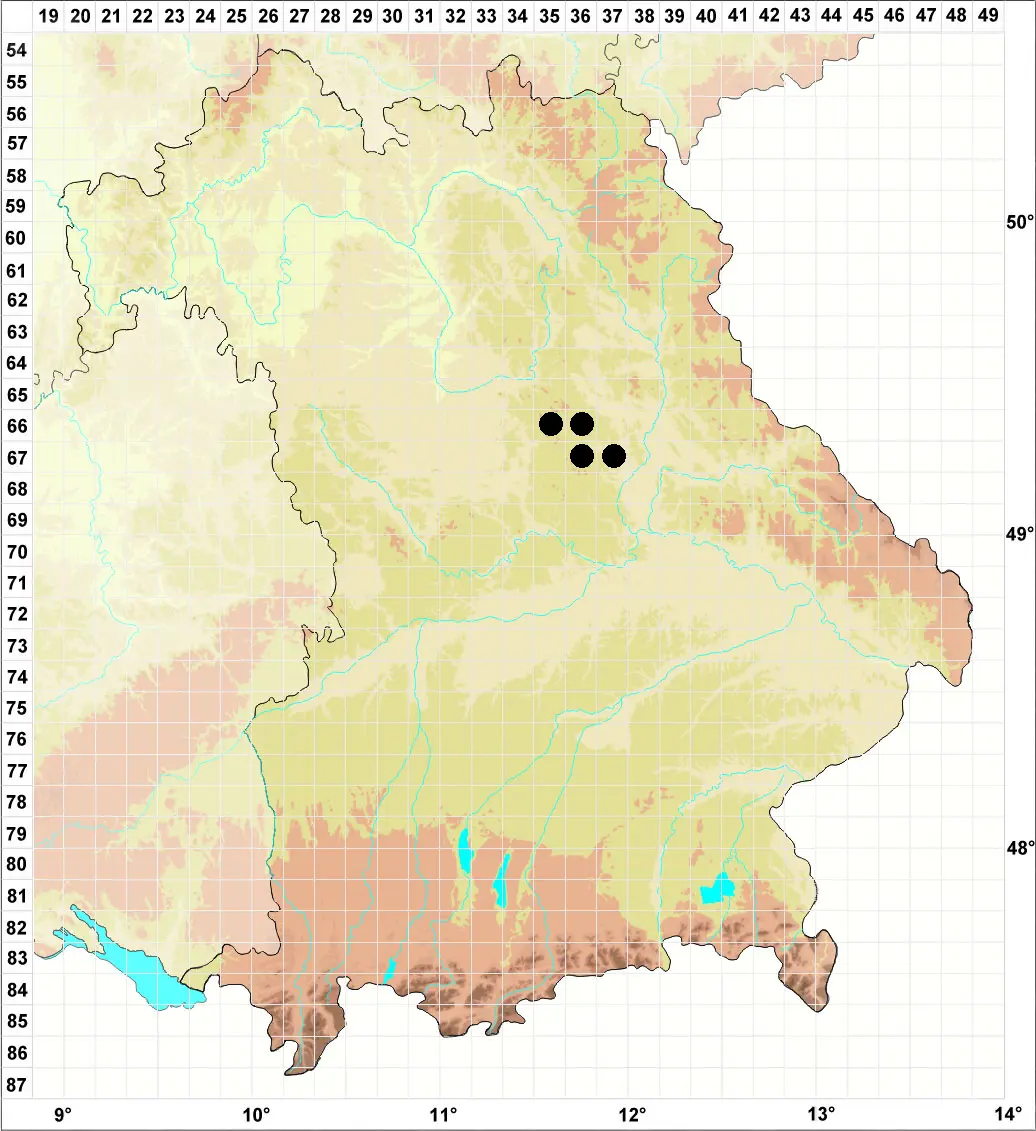 Karte Biotopkartierung Lauterachtal, W. v. Brackel